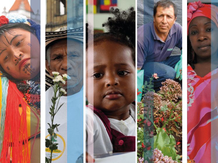Construcción de paz: inclusión laboral y vida digna para las víctimas del conflicto armado en Colombia
